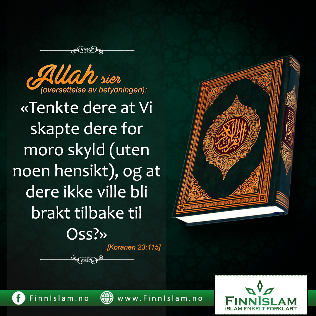 Tenkte dere at Vi skapte der for moro skyld?